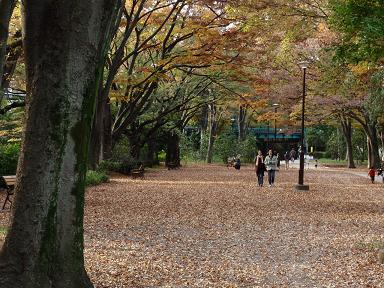 井の頭公園は芸術の秋！_d0147991_17485941.jpg