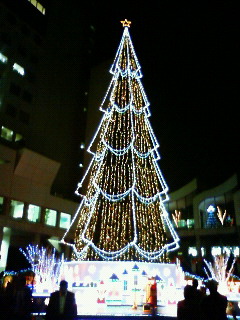 e0051194_8184822.jpg