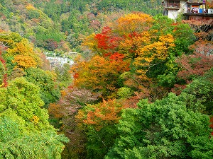 e0158895_2103379.jpg