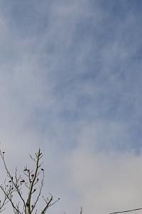 c0039898_8383795.jpg