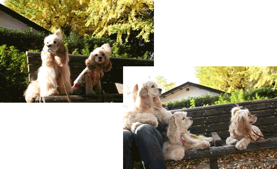 c0128303_14494.gif