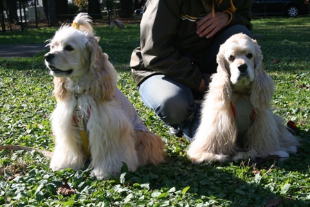 c0128303_16426.jpg