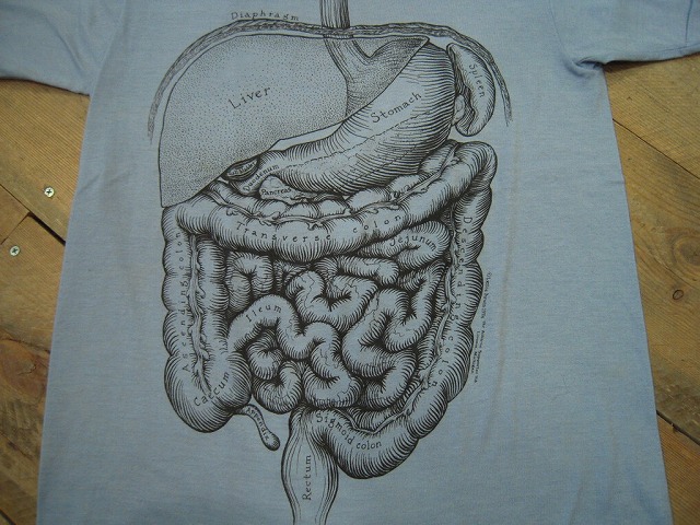 Tシャツ色々☆★☆_d0121303_12102231.jpg