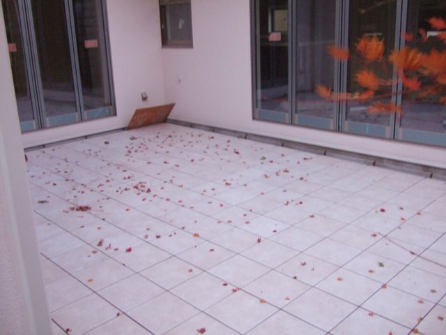 もうひとつの紅葉_f0108604_7251493.jpg