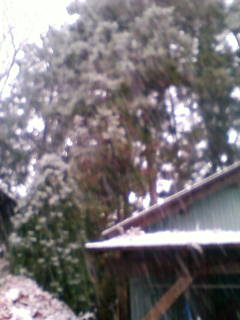 初雪です。_d0026905_711075.jpg