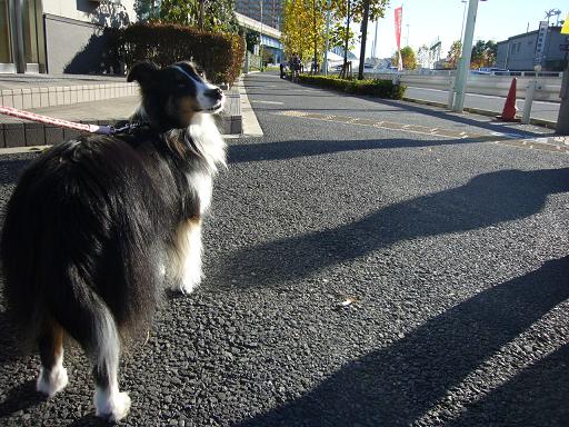 e0130008_20403727.jpg