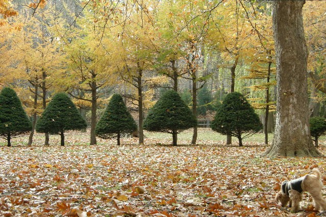 f0171508_193682.jpg