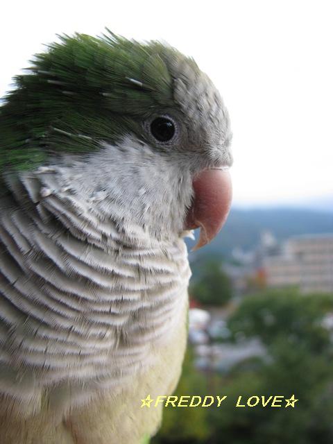 d0081210_1035164.jpg