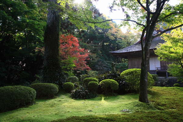 三千院_f0181310_20365991.jpg