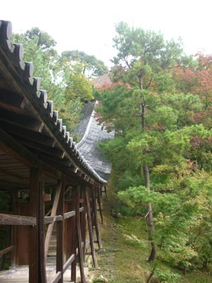 d0069411_10511976.jpg
