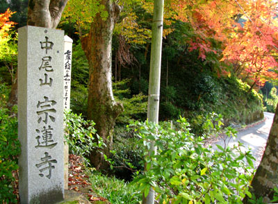 紅葉を訪ねて 宗蓮寺_e0048413_21264999.jpg