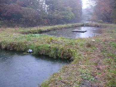 e0097615_17384896.jpg