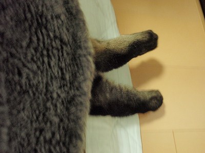 c0145016_20452481.jpg