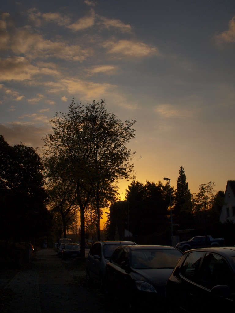 b0148617_4494037.jpg
