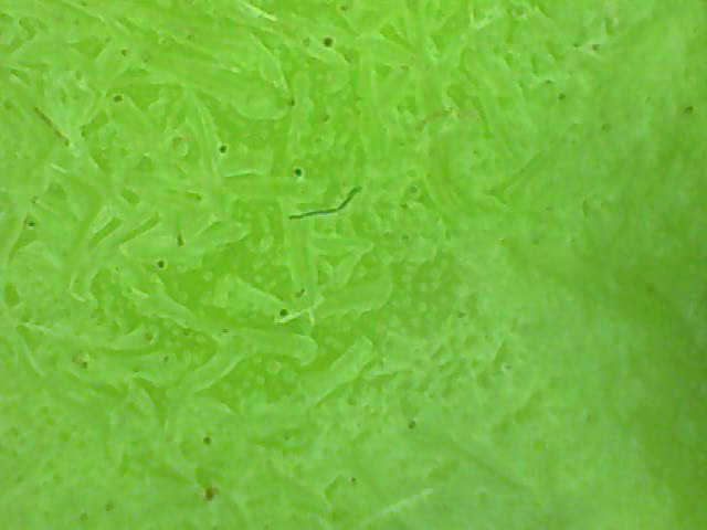 f0181317_7143075.jpg
