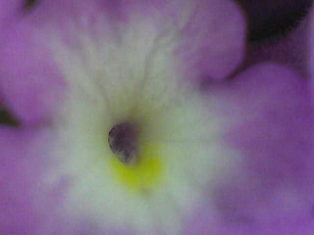 f0181317_7212894.jpg