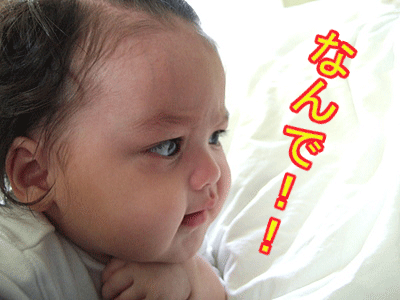 c0151122_10593959.gif