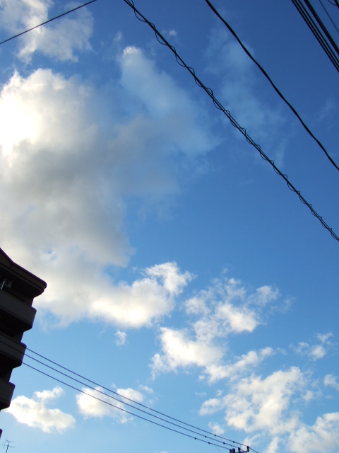 e0157722_23531891.jpg