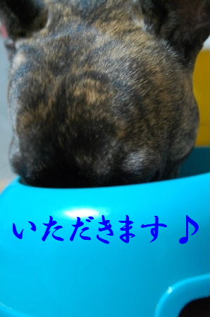 c0130324_23272477.jpg