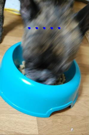c0130324_2328285.jpg