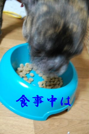 c0130324_2329927.jpg