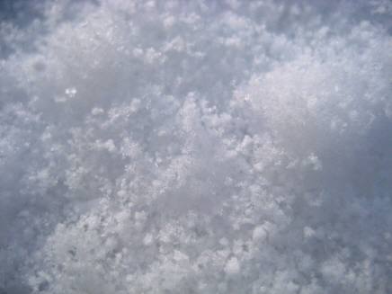 e0078125_2035430.jpg