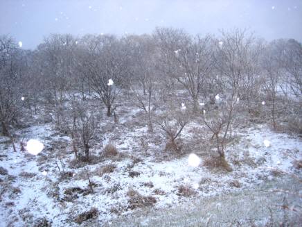 e0078125_2054646.jpg
