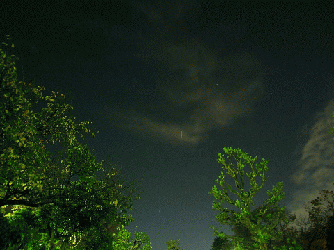 e0089232_20384125.gif