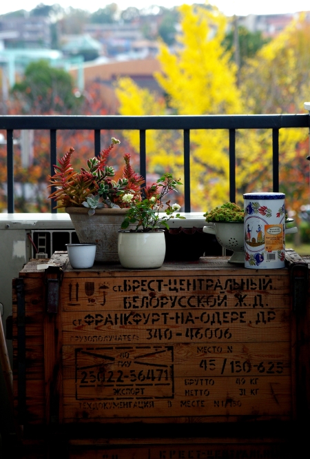 東山公園 le petit marche & L\'Assiette_d0145934_1958428.jpg