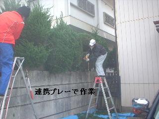 美女と野獣_f0031037_20425946.jpg