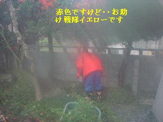 美女と野獣_f0031037_20431311.jpg