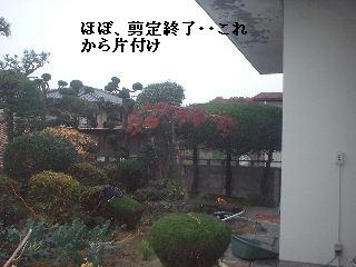 美女と野獣_f0031037_20434994.jpg
