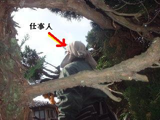 美女と野獣_f0031037_20454795.jpg