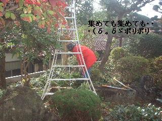 美女と野獣_f0031037_2046481.jpg