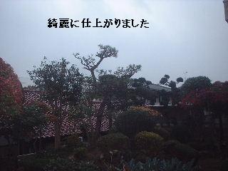 美女と野獣_f0031037_20473861.jpg