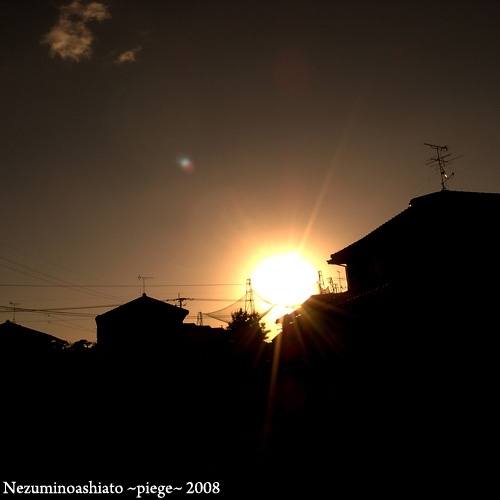 f0184339_143447.jpg