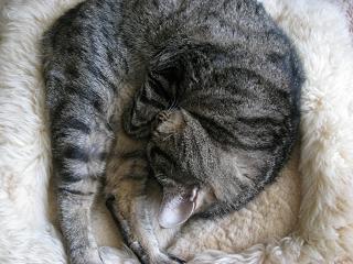 e0113040_21204072.jpg