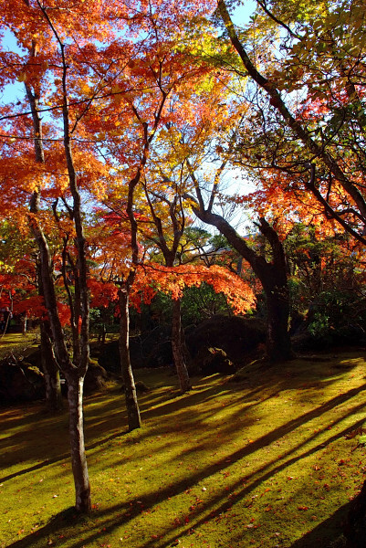 箱根美術館へ！_b0109942_21303613.jpg