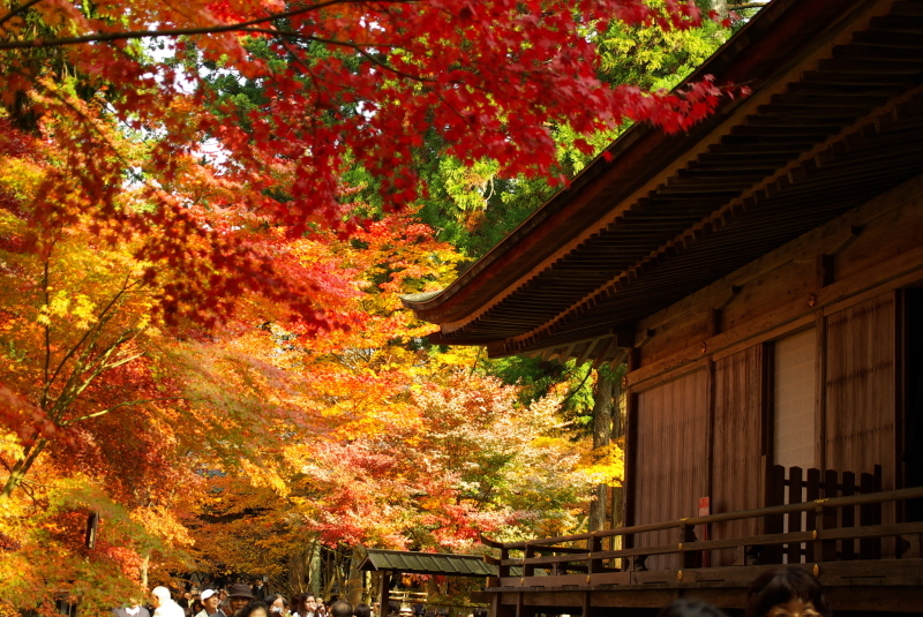 京都大原三千院_d0104645_11403735.jpg