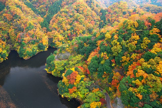 竜神峡の紅葉_b0122448_12415015.jpg