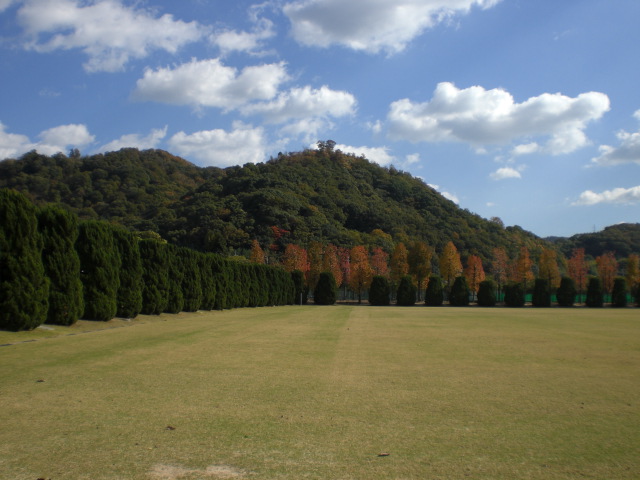 b0152548_18352317.jpg