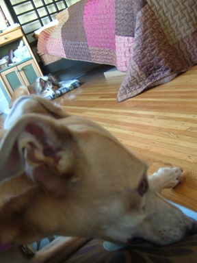 c0078451_9413298.jpg