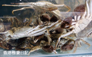 f0190653_22334235.gif