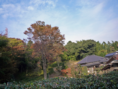 b0045357_1141150.jpg