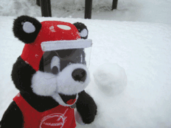 b0159557_12402855.gif