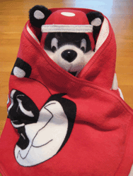 b0159557_12475780.gif