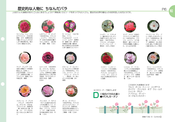 「知のプロムナード」応募企画書_a0094959_13573514.jpg