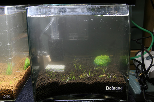 水草一番サンド プラントサンドgx 実験 Aqualiving