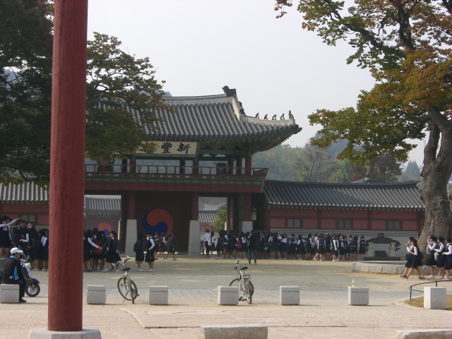 f0000262_2093329.jpg