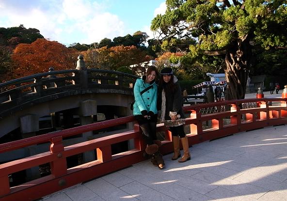鎌倉 5 鶴岡八幡宮_c0151965_23574640.jpg